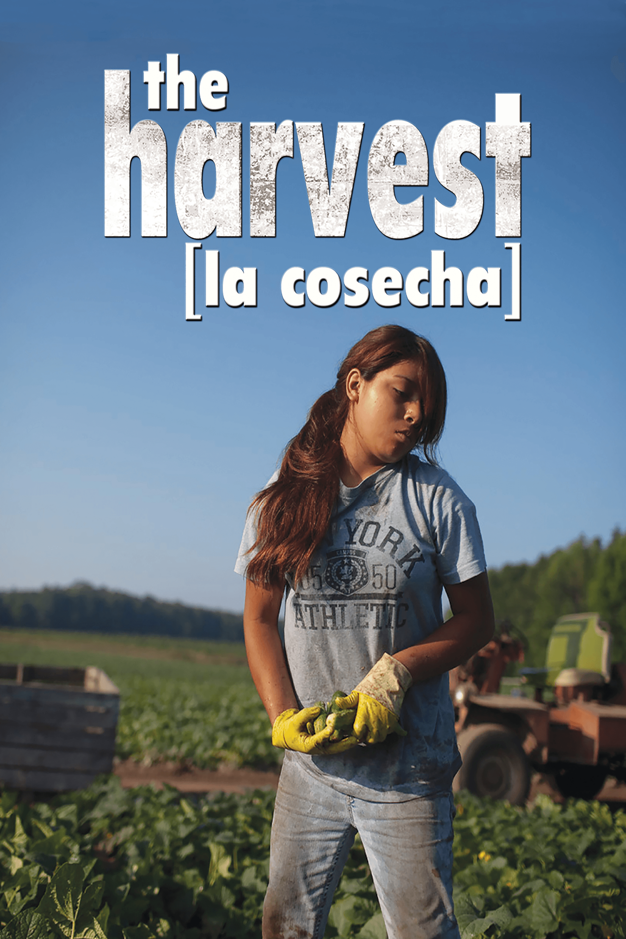 The Harvest
